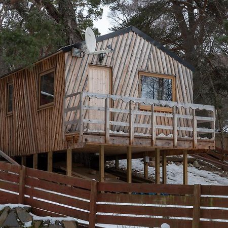 Pine Marten Bar Glenmore Treehouse أفيمور المظهر الخارجي الصورة
