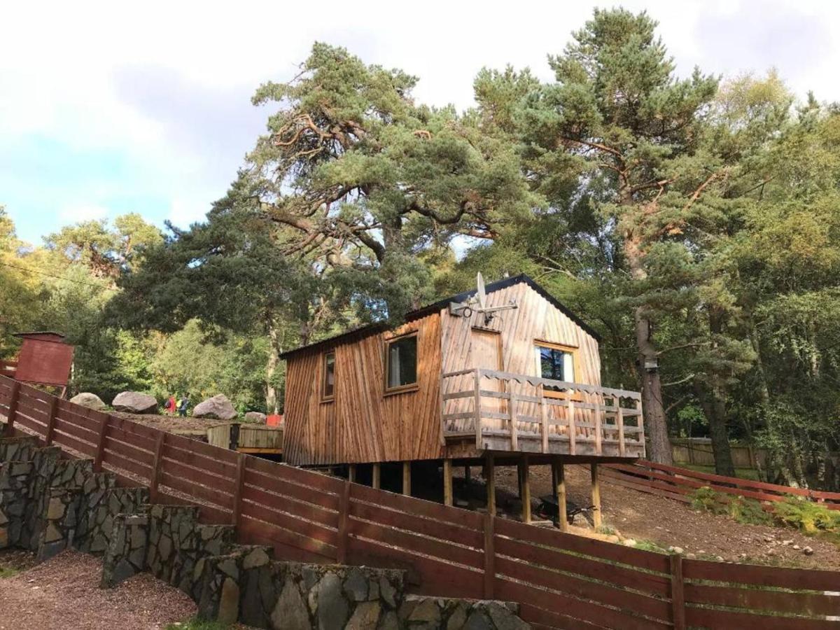 Pine Marten Bar Glenmore Treehouse أفيمور المظهر الخارجي الصورة