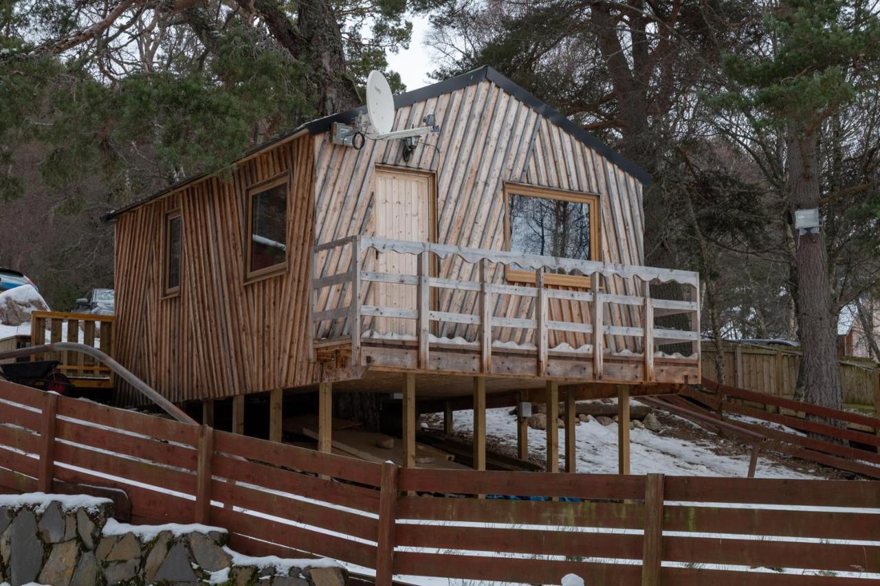 Pine Marten Bar Glenmore Treehouse أفيمور المظهر الخارجي الصورة