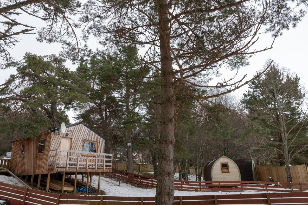 Pine Marten Bar Glenmore Treehouse أفيمور المظهر الخارجي الصورة