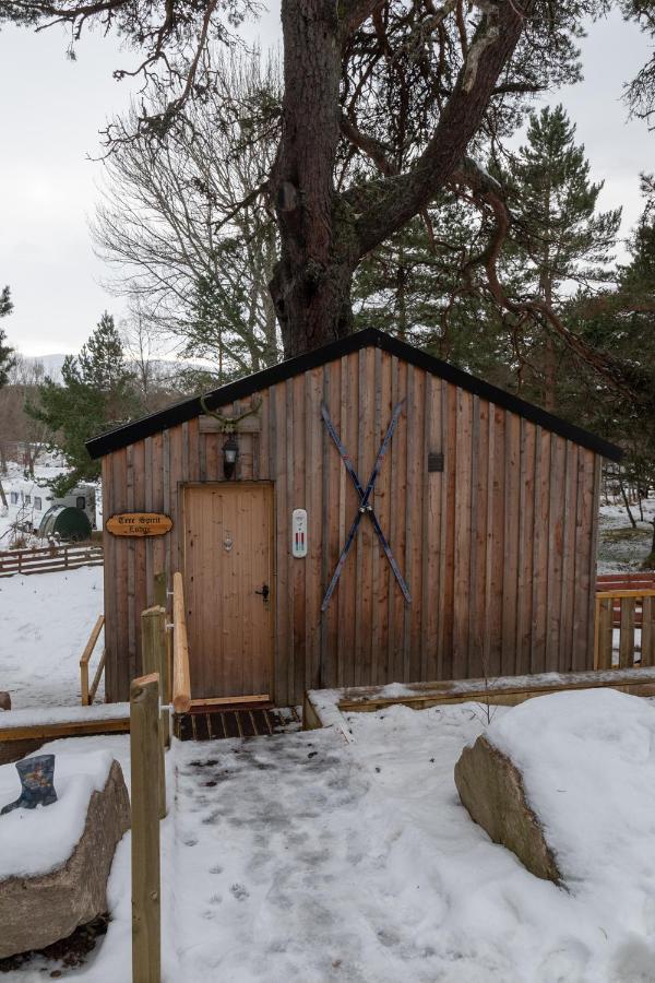 Pine Marten Bar Glenmore Treehouse أفيمور المظهر الخارجي الصورة