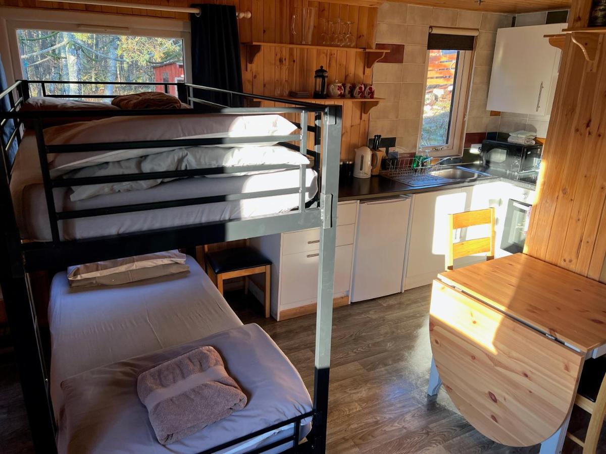 Pine Marten Bar Glenmore Treehouse أفيمور المظهر الخارجي الصورة